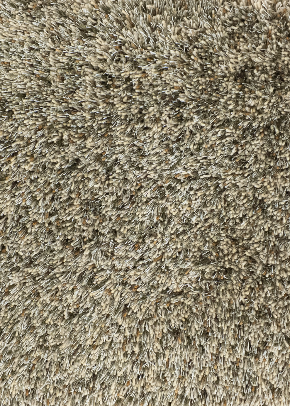 Vloerkleed MOMO Rugs | Brilliant Moss 136937