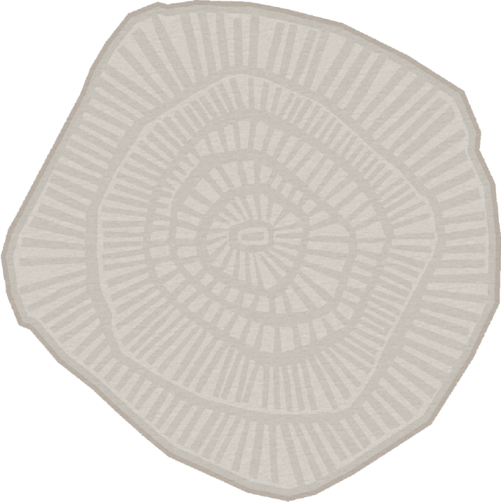 Ferreira De Sa Anemone Dove Vloerkledenwinkel