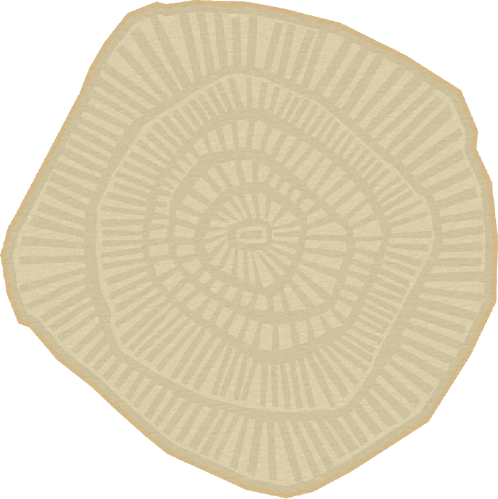 Ferreira De Sa Anemone Gold Vloerkledenwinkel