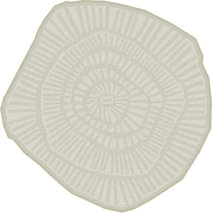 Ferreira De Sa Anemone Sage Vloerkledenwinkel