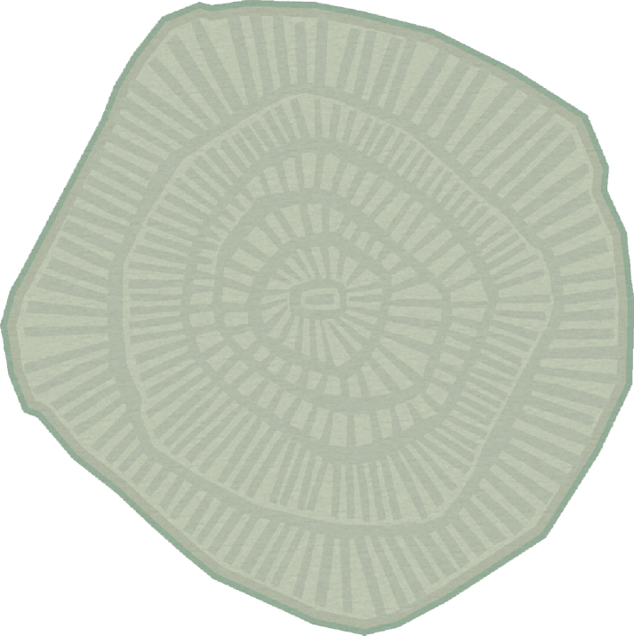 Ferreira De Sa Anemone Sea Salt Vloerkledenwinkel