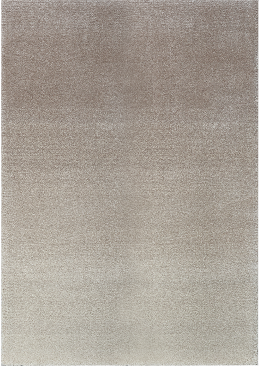 Ferreira de Sa Gradient Bleached Sand Vloerkledenwinkel