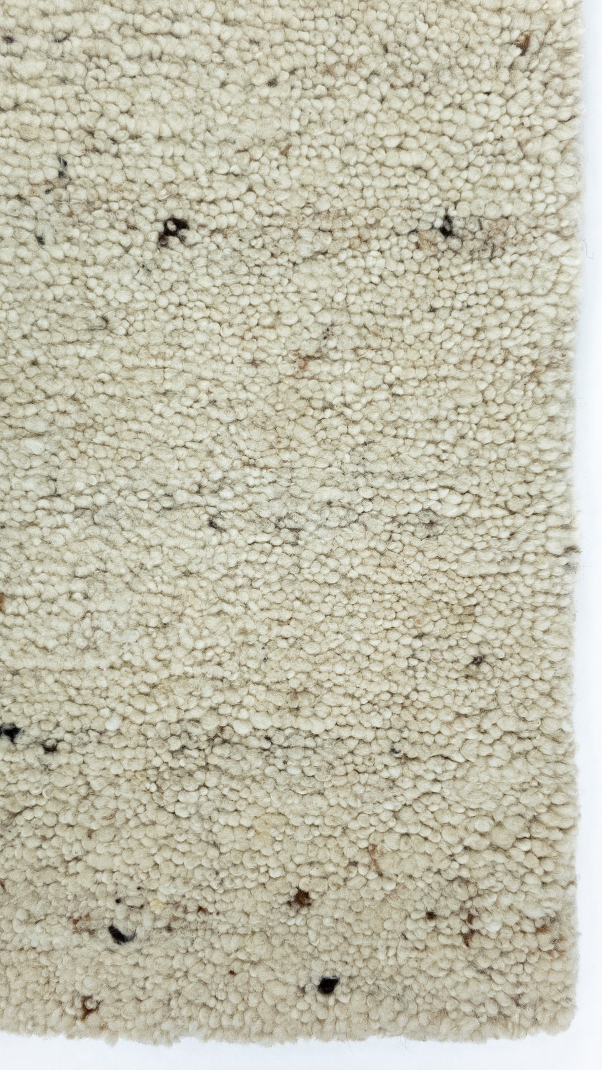Vloerkleed Natur Pur Berber Dhasa Beige 550