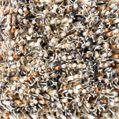 Vloerkleed Brink & Campman Spring Natural 059111