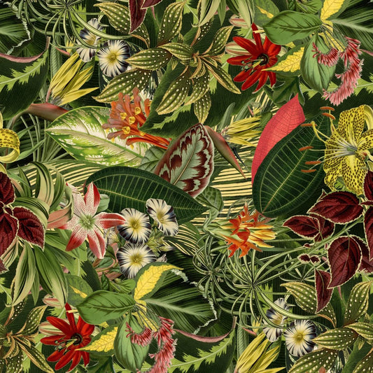 Traploper Moooi Carpets Herbarium of Extinct Plants