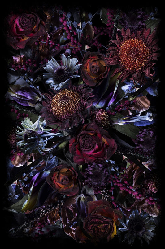 Laagpolig vloerkleed Moooi Carpets Fool's Paradise Vloerkledenwinkel
