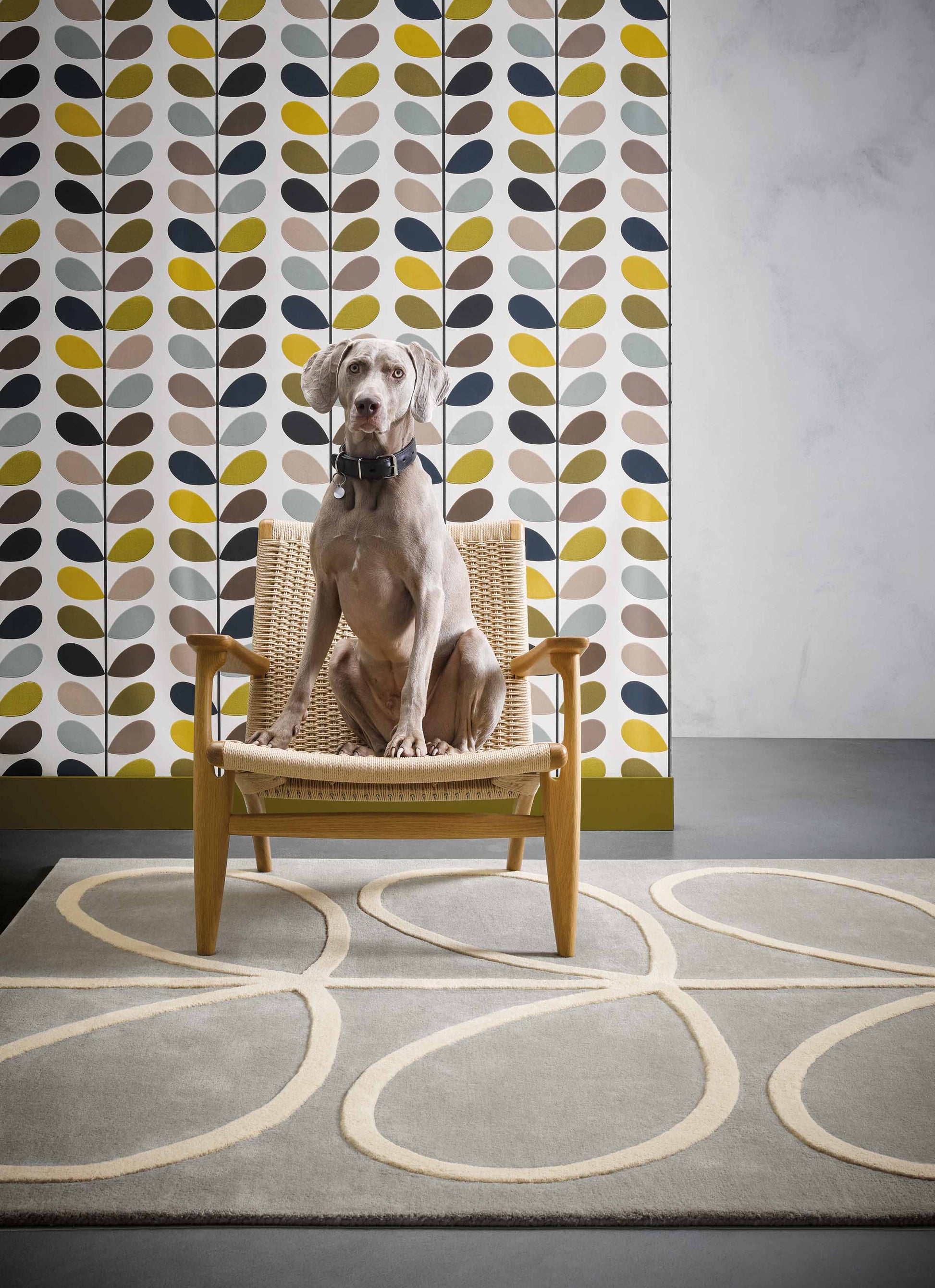 Laagpolig vloerkleed Orla Kiely Giant Linear Stem 59404 Vloerkledenwinkel