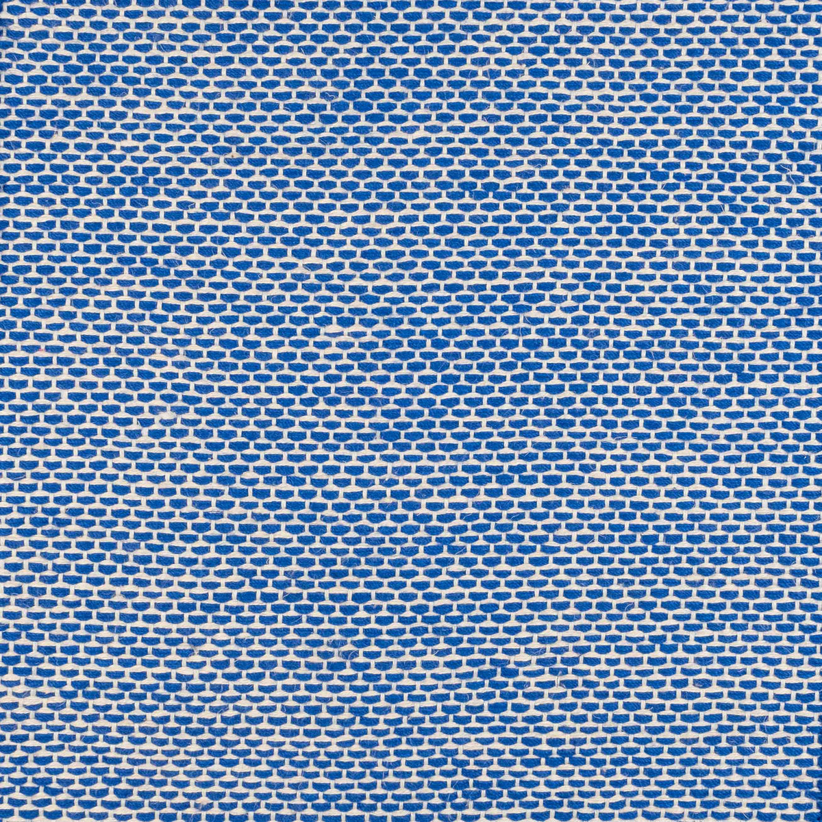 Traploper MOMO Rugs Metz True Blue