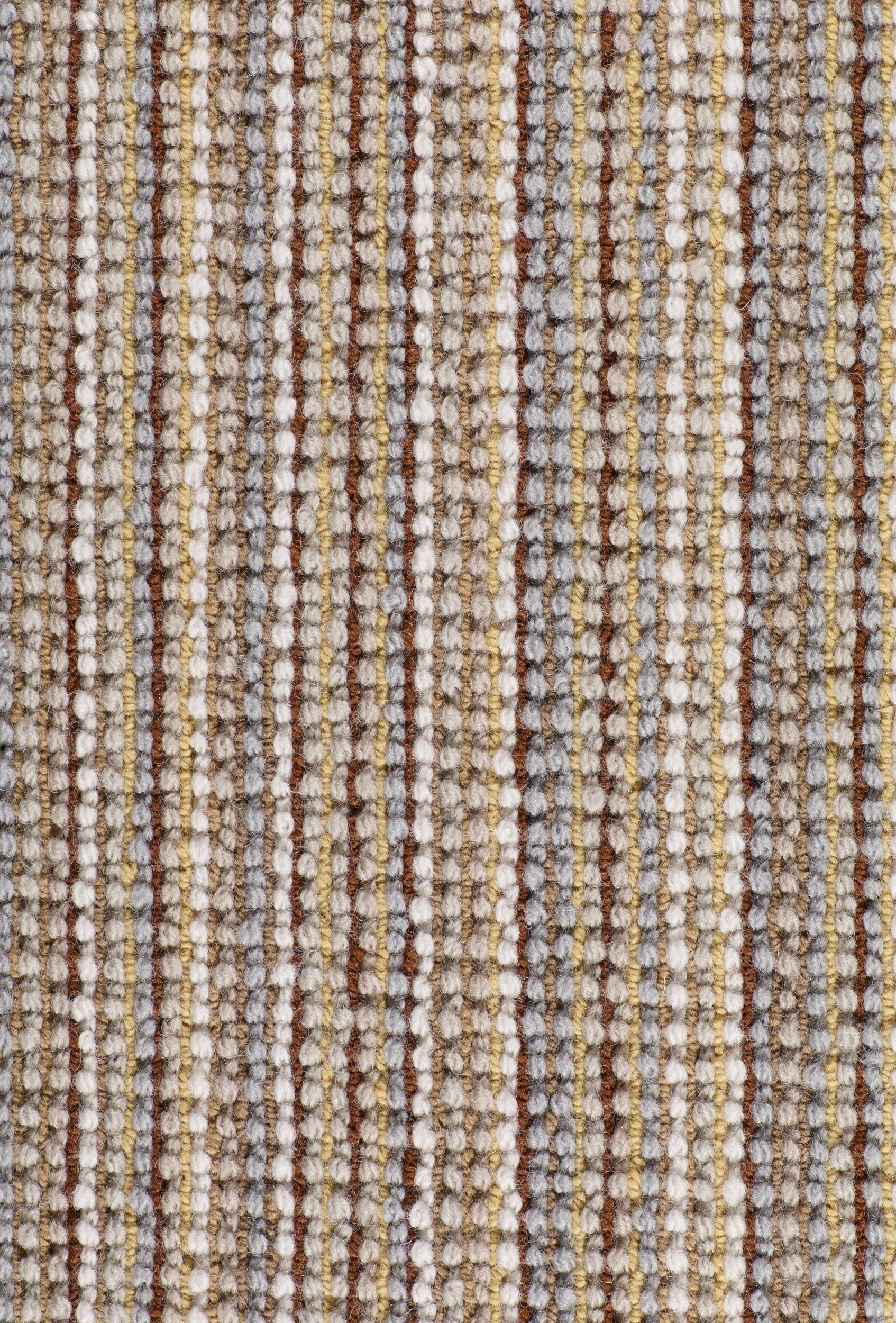 Masai Giraffe Vloerkledenwinkel
