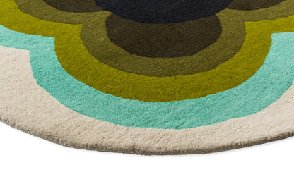 Sunflower olive 60007 Rond