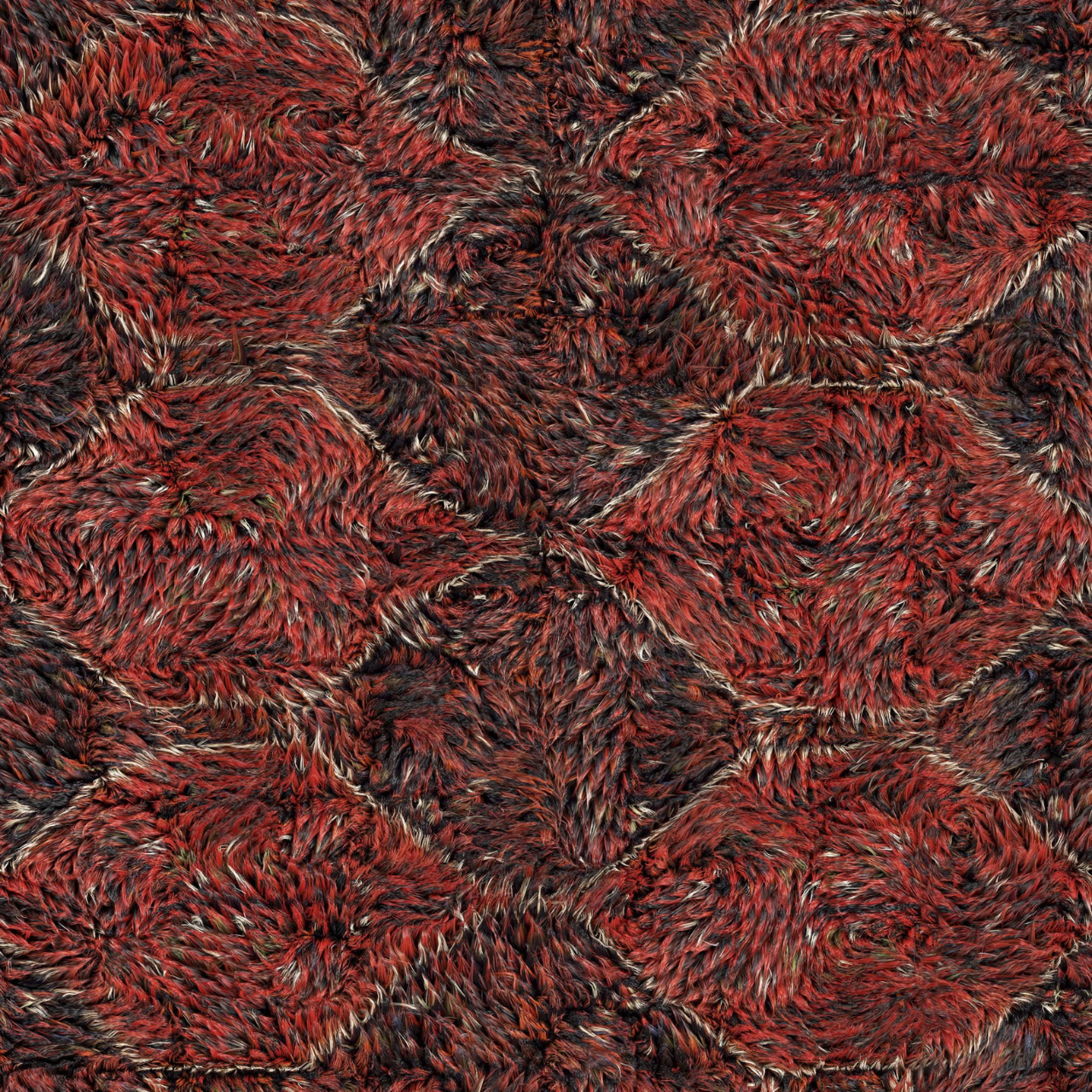 Traploper Moooi Carpets Mirror Hall by Valerio Sommella