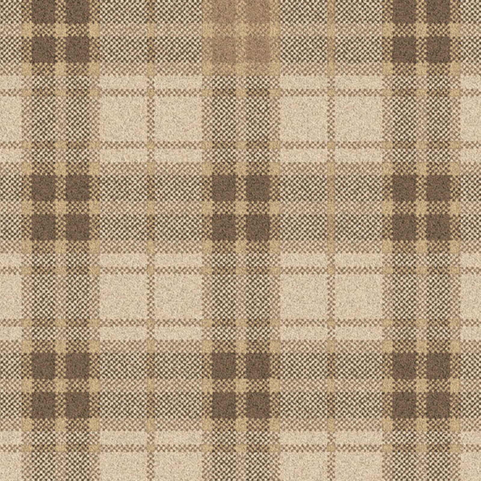 Traploper Ulster Carpets Hamilton Honesty