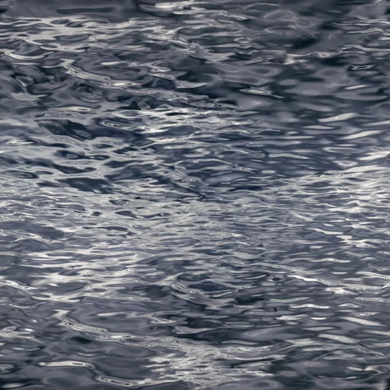 Traploper Moooi Carpets Fluid By Rive Roshan Blue