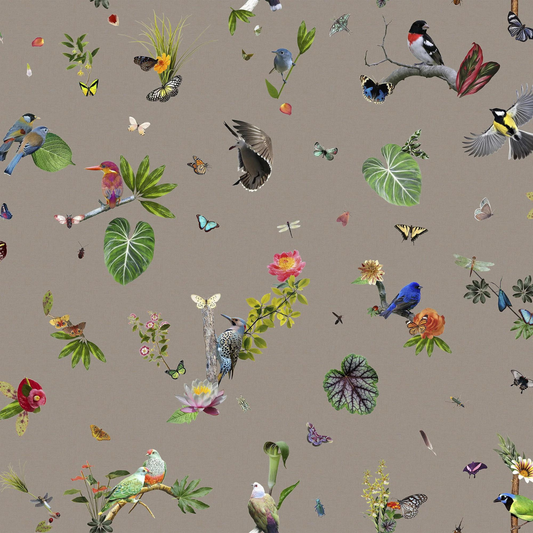 Traploper Moooi Carpets Bird  by Edward van Vliet