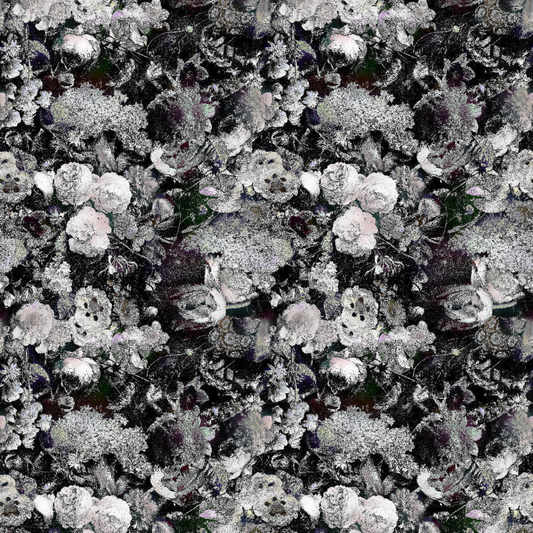 Traploper Moooi Carpets Eden Queen B&W by Marcel Wanders