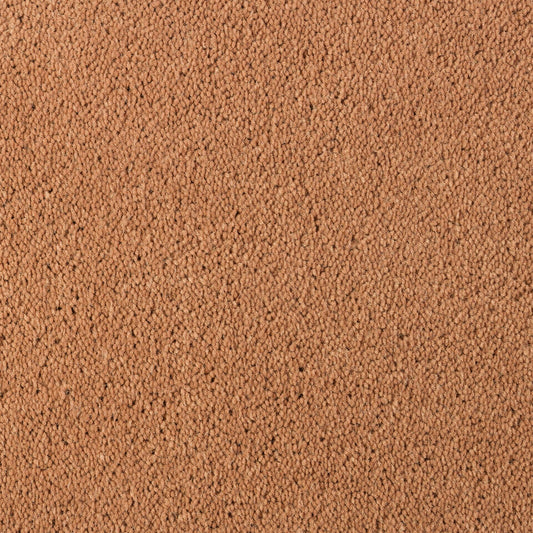 DESSO Asteranne A411 2055 – Luxueus Velours Vloerkleed