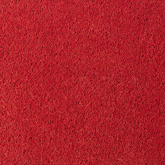 DESSO Asteranne A411 4311 – Velours Vloerkleed met Stijlvolle Afwerking