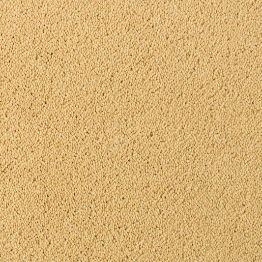 DESSO Asteranne A411 6032 – Elegant Velours Vloerkleed op Maat