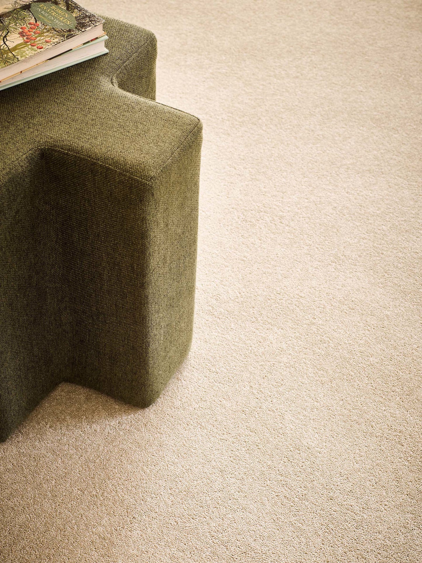 Vloerkleed Desso Excellent 220