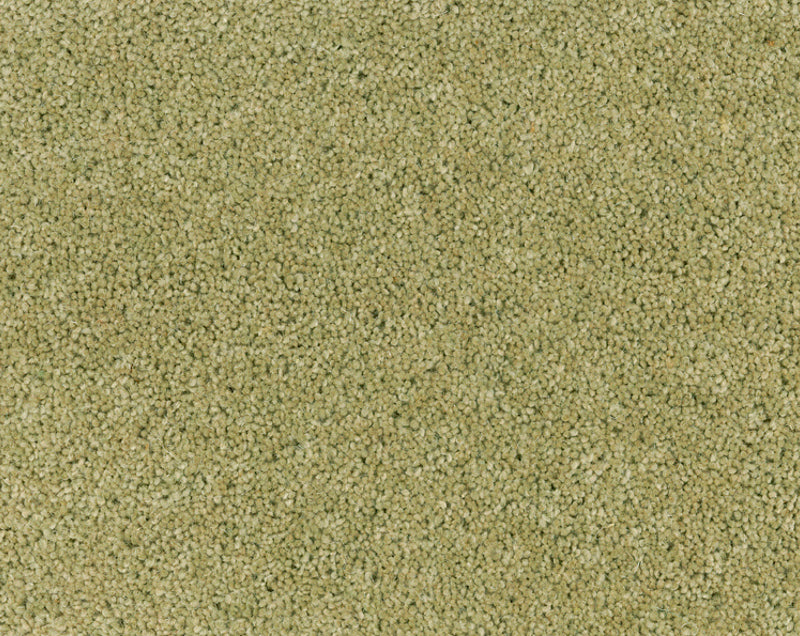 Vloerkleed Desso Excellent 220