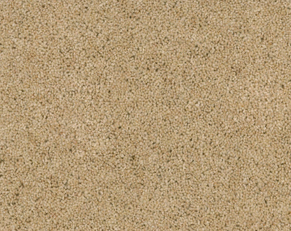 Vloerkleed Desso Excellent 270