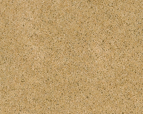 Vloerkleed Desso Excellent 273
