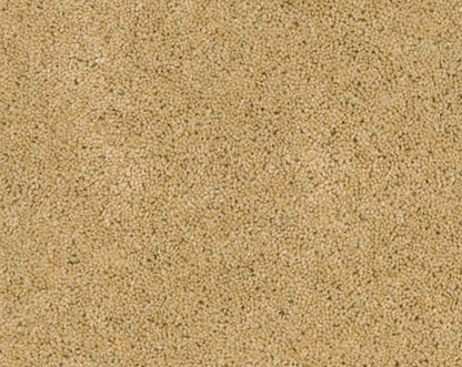 Vloerkleed Desso Excellent 273