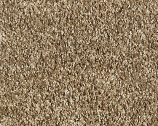 Vloerkleed Desso Parade Entrada Silky 2923