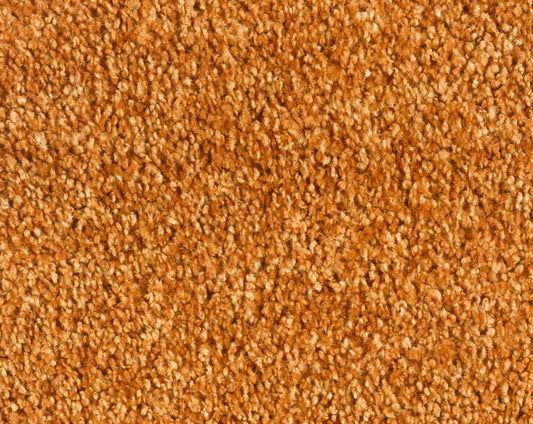 Vloerkleed Desso Parade Entrada Silky 5321