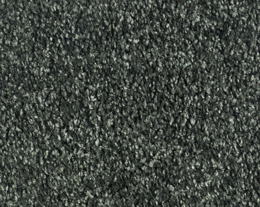 Vloerkleed Desso Parade Entrada Silky 9532