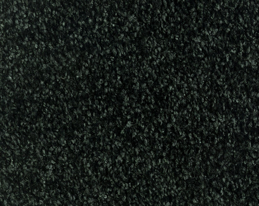 Vloerkleed Desso Parade Entrada Silky 9990