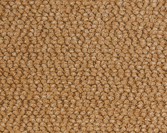 Vloerkleed Desso Parade Twist & Tangle 2055